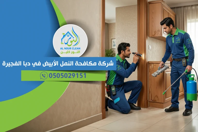 شركة مكافحة النمل الأبيض في دبا الفجيرة | مكافحة الرمة في المنازل والفلل باحتراف شركة مكافحة النمل الأبيض في دبا الفجيرة