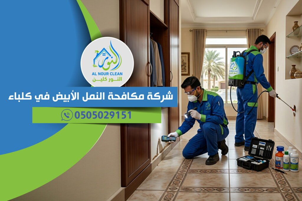 شركة مكافحة النمل الأبيض في كلباء